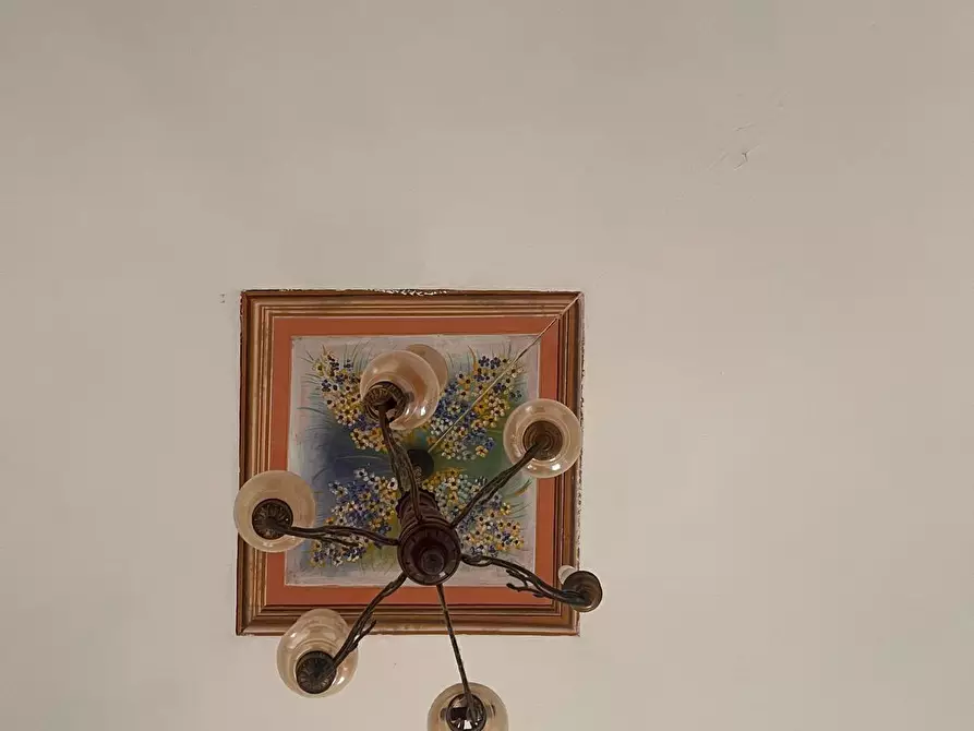 Immagine 13 di Appartamento in vendita  a Vecchiano