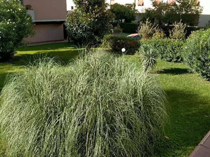 Immagine 23 di Appartamento in vendita  a Carrara