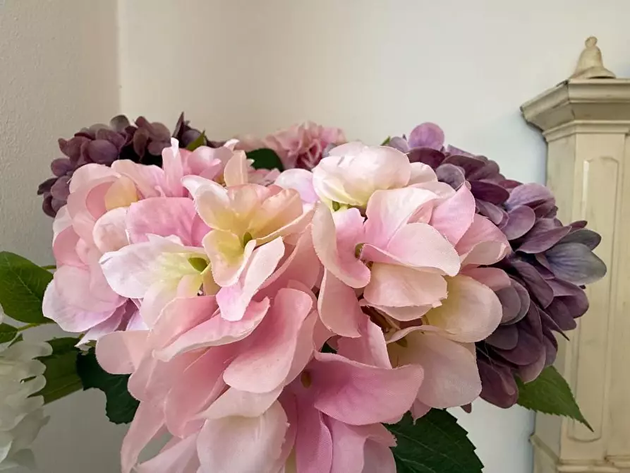 Immagine 11 di Appartamento in vendita  a Viareggio