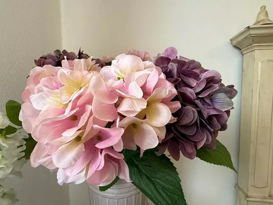 Immagine 20 di Appartamento in vendita  a Viareggio