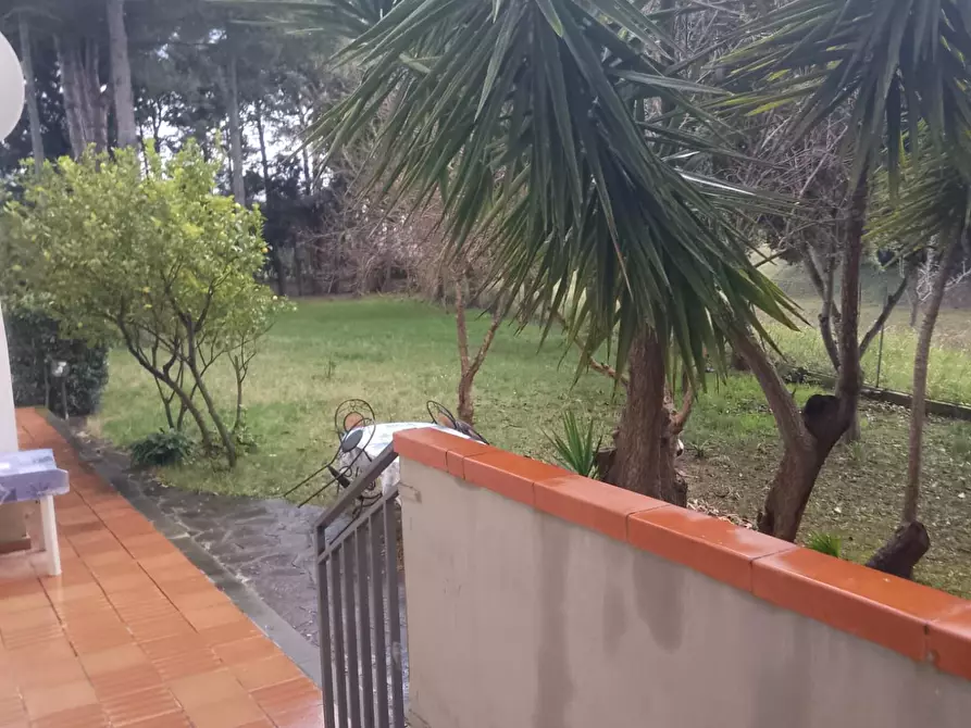 Immagine 38 di Villa in vendita  a Grosseto