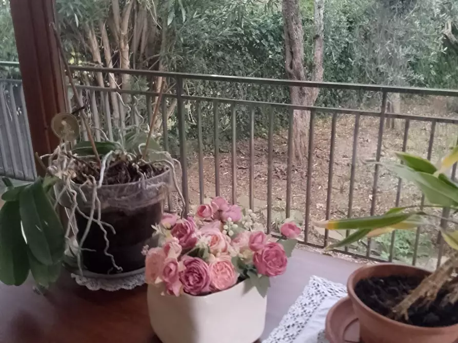 Immagine 46 di Villa in vendita  a Grosseto