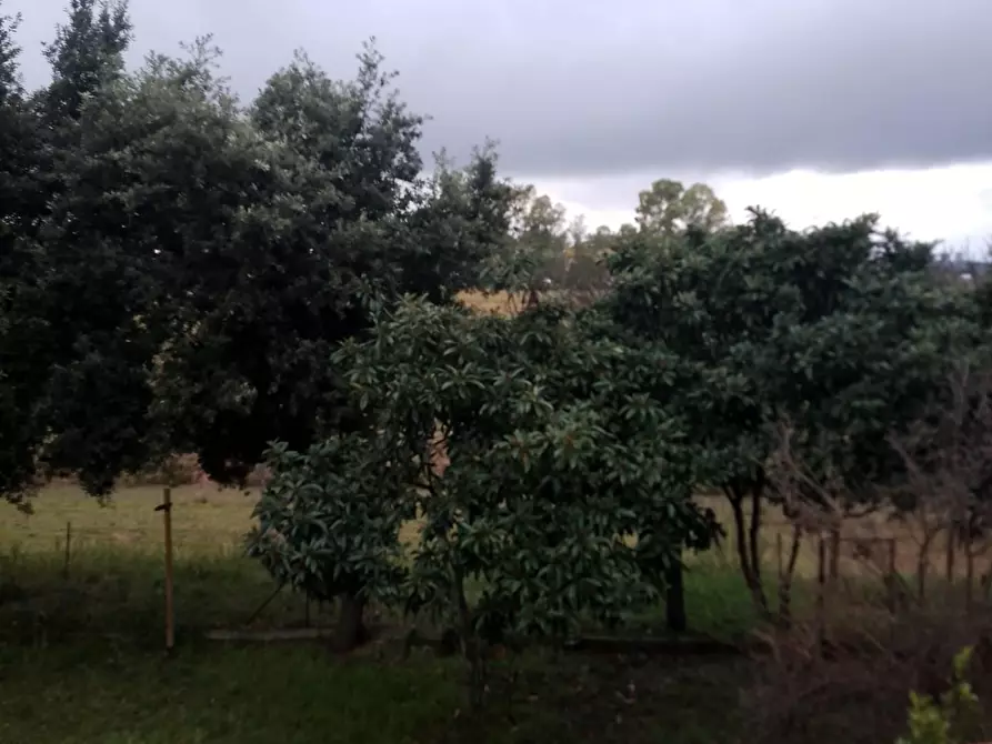 Immagine 11 di Villa in vendita  a Grosseto