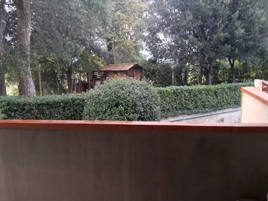 Immagine 7 di Villa in vendita  a Grosseto