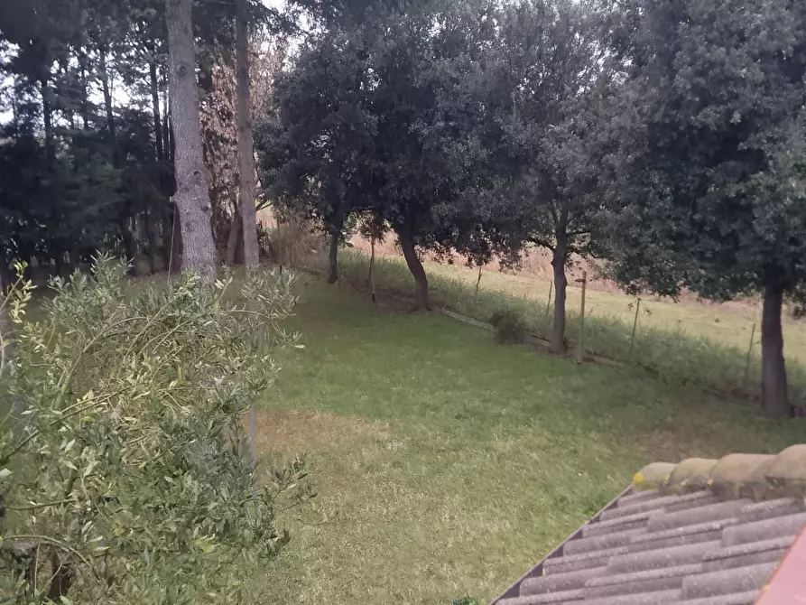 Immagine 66 di Villa in vendita  a Grosseto