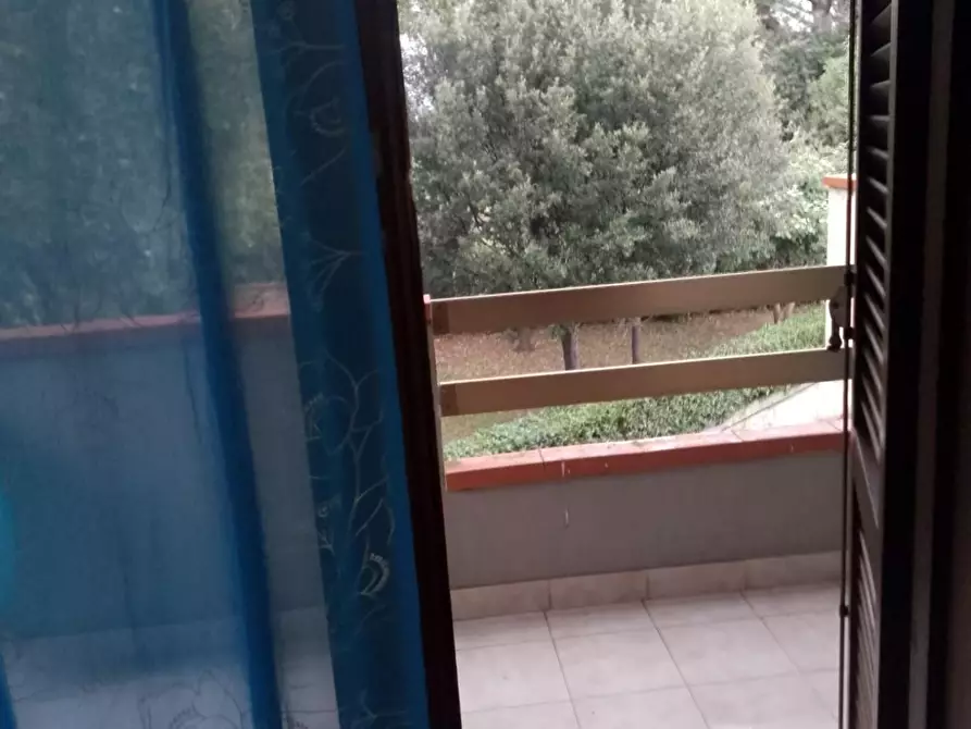 Immagine 65 di Villa in vendita  a Grosseto