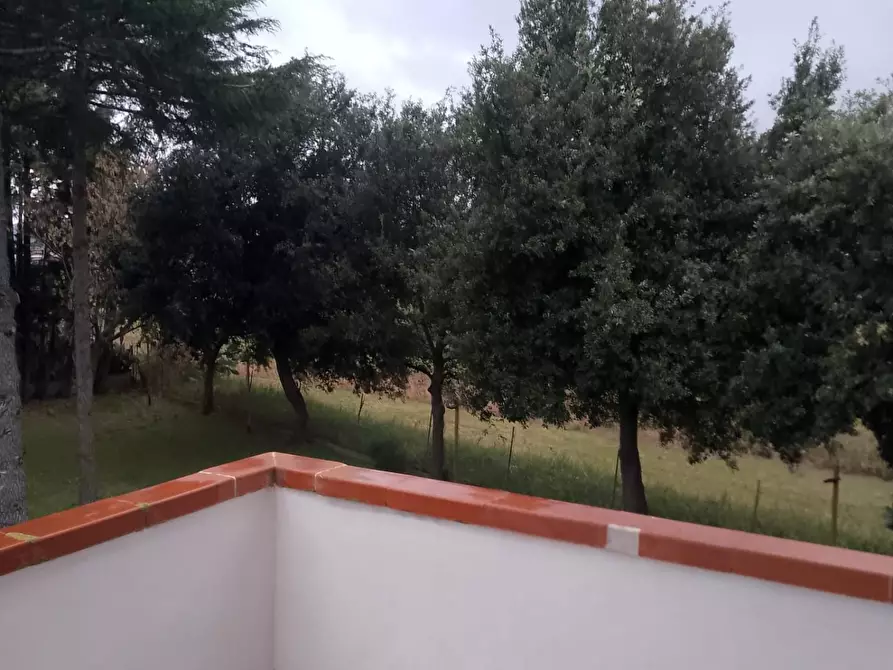 Immagine 8 di Villa in vendita  a Grosseto