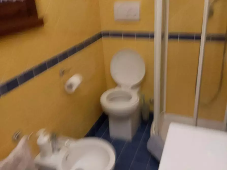 Immagine 72 di Villa in vendita  a Grosseto