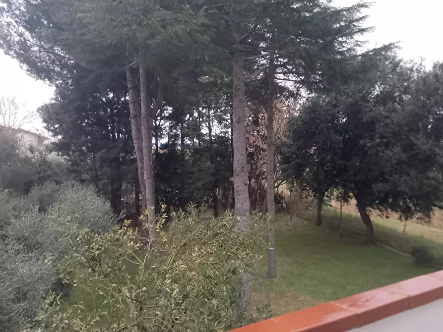 Immagine 55 di Villa in vendita  a Grosseto