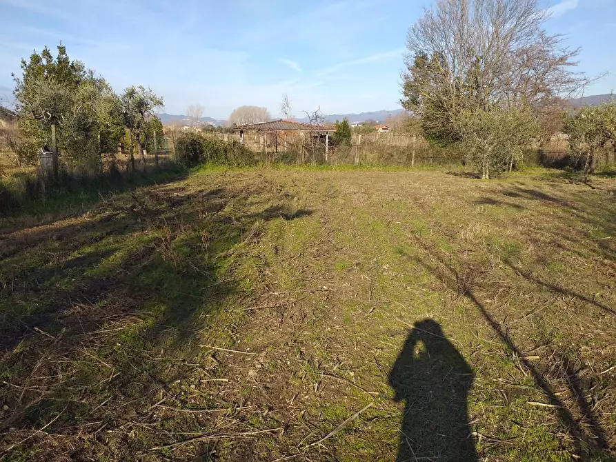 Immagine 2 di Terreno industriale in vendita  a Castelnuovo Magra