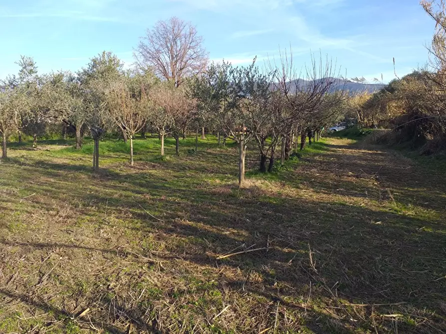 Immagine 1 di Terreno industriale in vendita  a Castelnuovo Magra