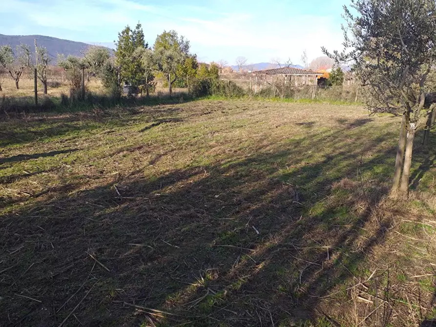 Immagine 3 di Terreno industriale in vendita  a Castelnuovo Magra