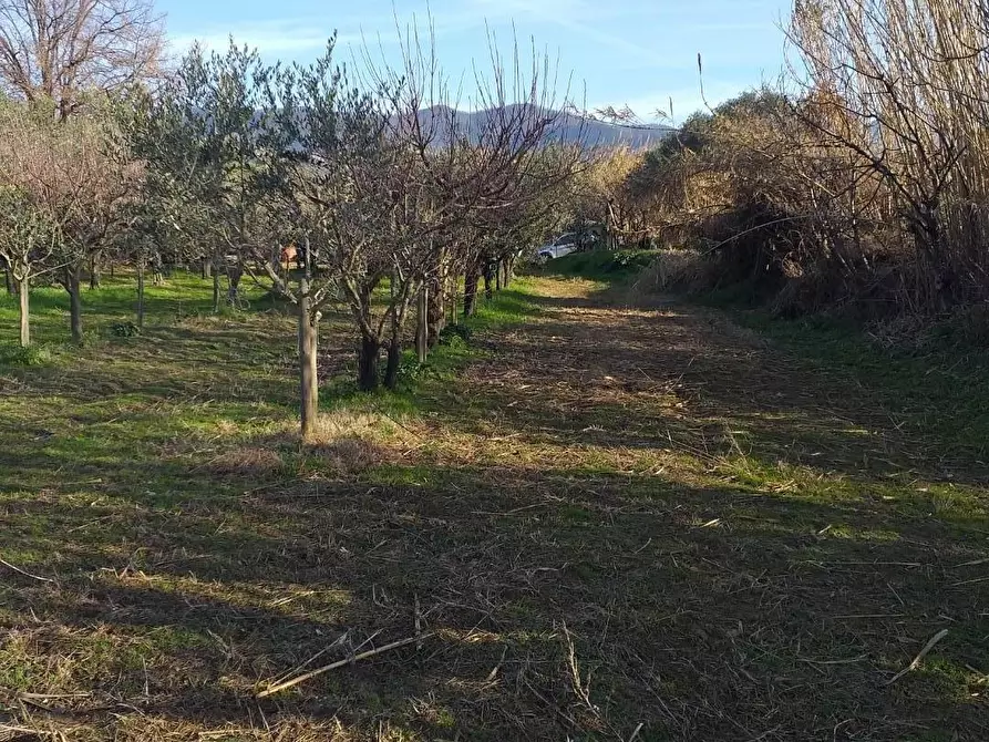 Immagine 4 di Terreno industriale in vendita  a Castelnuovo Magra