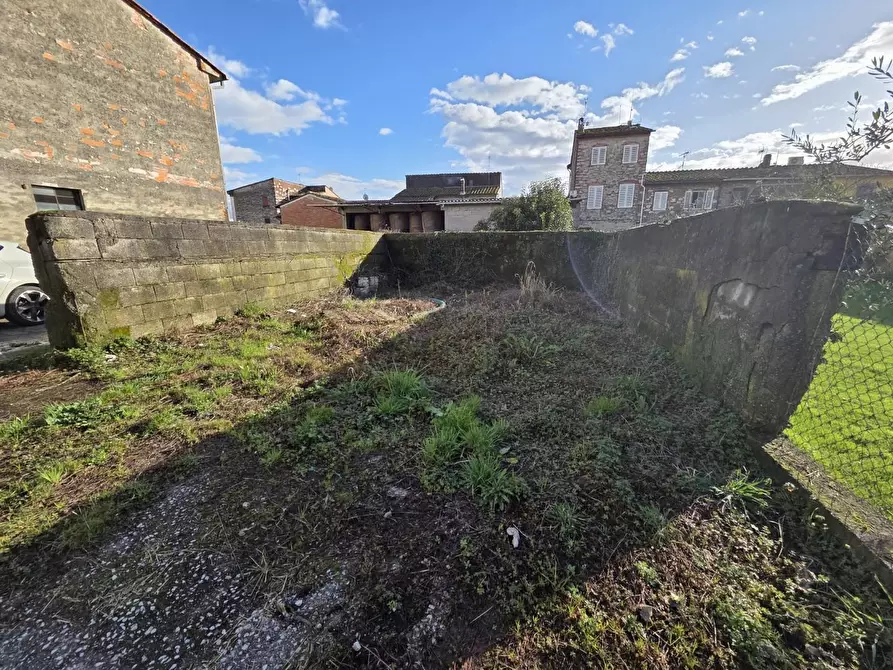 Immagine 3 di Azienda agricola in vendita  a Capannori