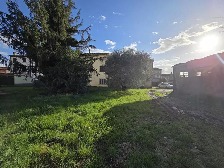 Immagine 14 di Azienda agricola in vendita  a Capannori