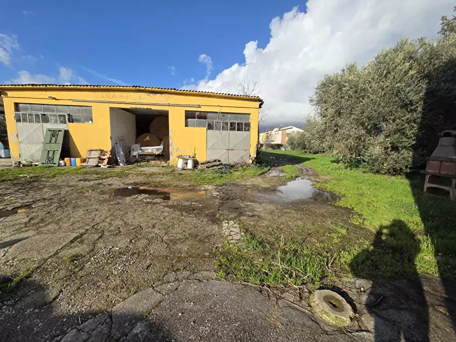 Immagine 2 di Azienda agricola in vendita  a Capannori