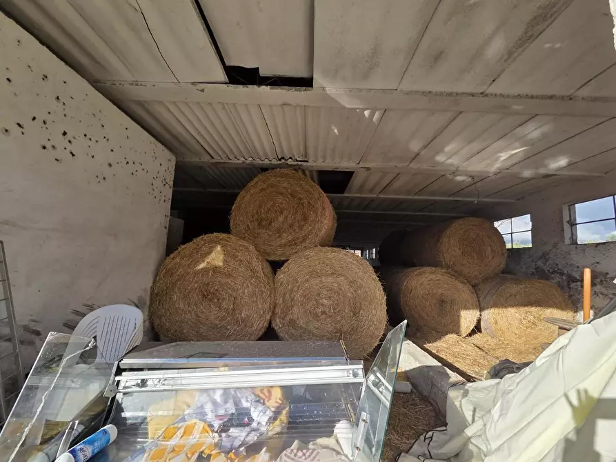 Immagine 6 di Azienda agricola in vendita  a Capannori