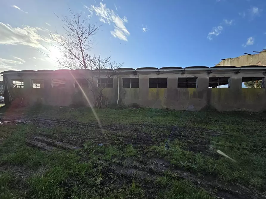 Immagine 15 di Azienda agricola in vendita  a Capannori