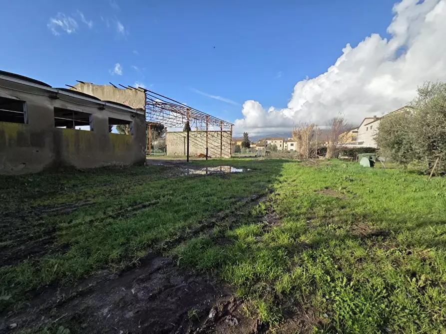 Immagine 13 di Azienda agricola in vendita  a Capannori