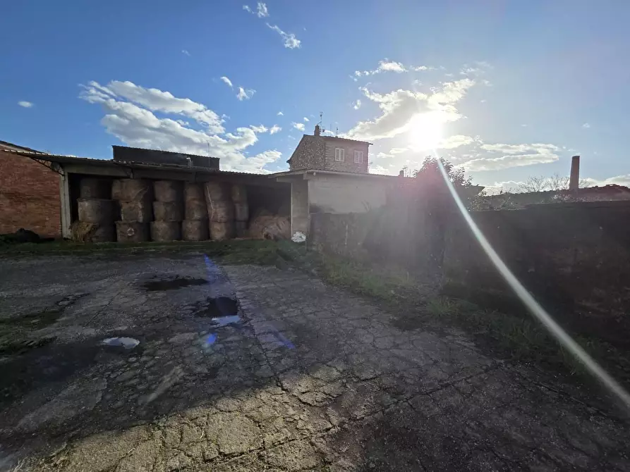 Immagine 5 di Azienda agricola in vendita  a Capannori