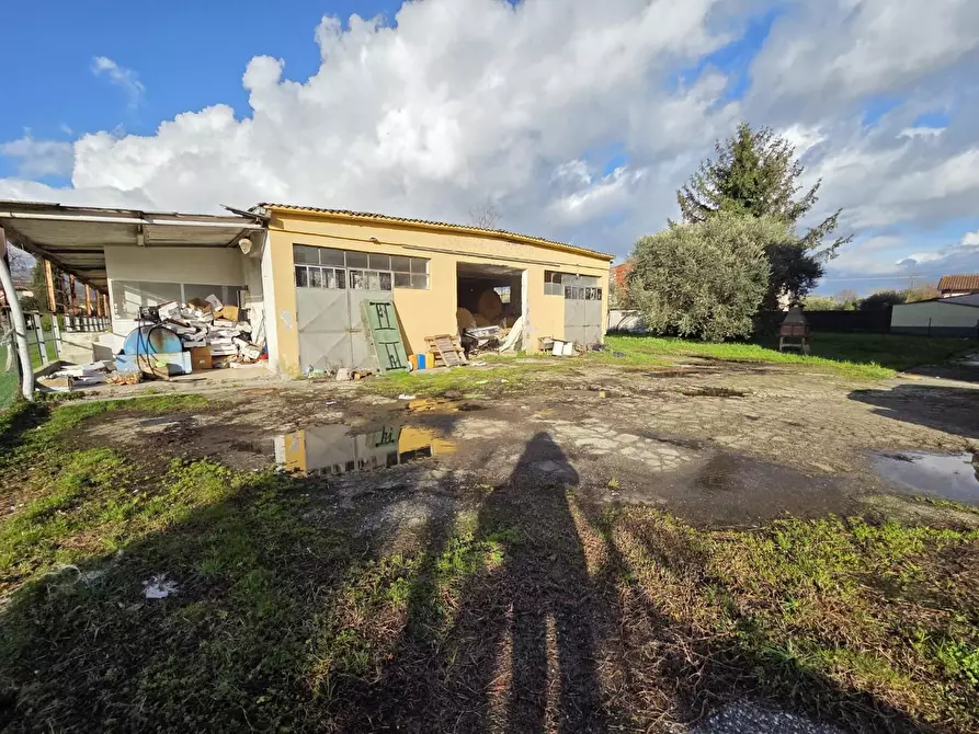 Immagine 11 di Azienda agricola in vendita  a Capannori