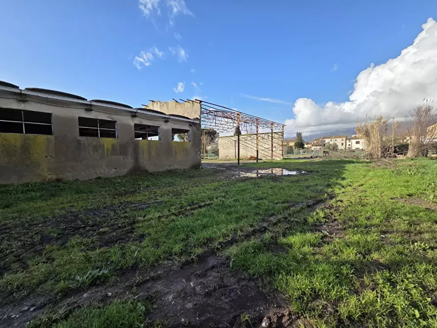 Immagine 10 di Azienda agricola in vendita  a Capannori