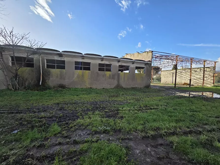 Immagine 12 di Azienda agricola in vendita  a Capannori