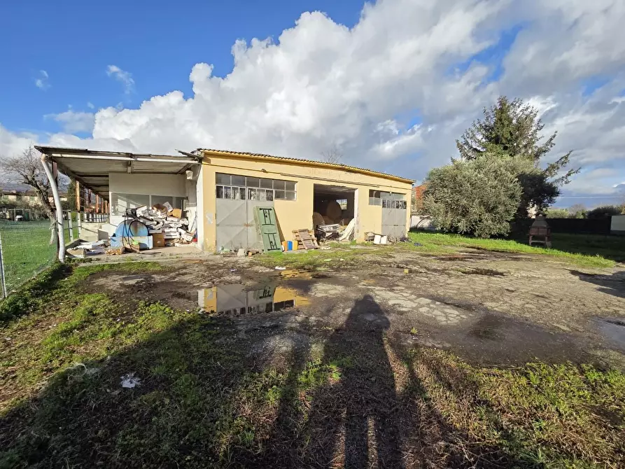 Immagine 4 di Azienda agricola in vendita  a Capannori