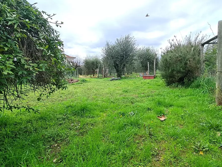 Immagine 16 di Appartamento in vendita  a San Miniato