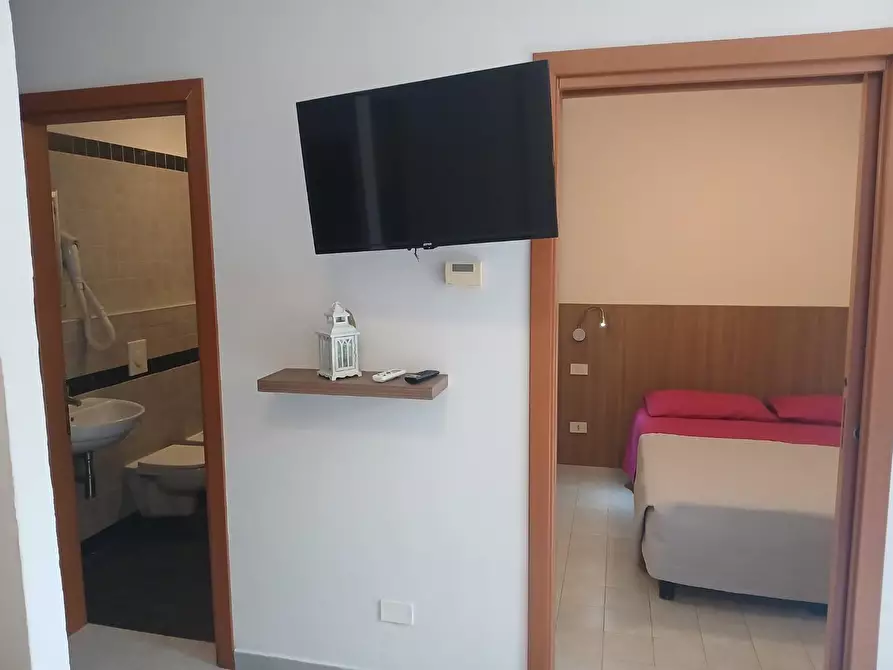 Immagine 14 di Appartamento in affitto  a Pisa