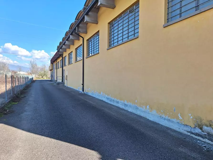 Immagine 14 di Attività artigianale in affitto  a Porcari