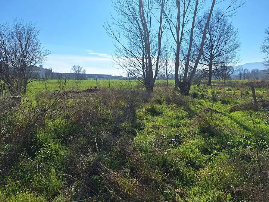 Immagine 8 di Attività artigianale in affitto  a Porcari