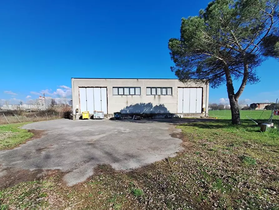 loft in affitto a Porcari