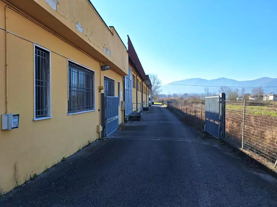 Immagine 13 di Attività artigianale in affitto  a Porcari