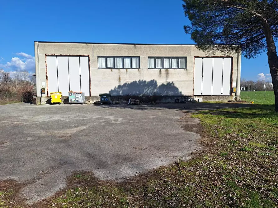 Immagine 2 di Attività artigianale in affitto  a Porcari