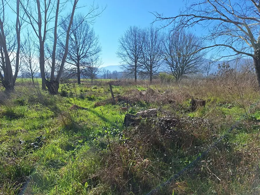 Immagine 6 di Attività artigianale in affitto  a Porcari