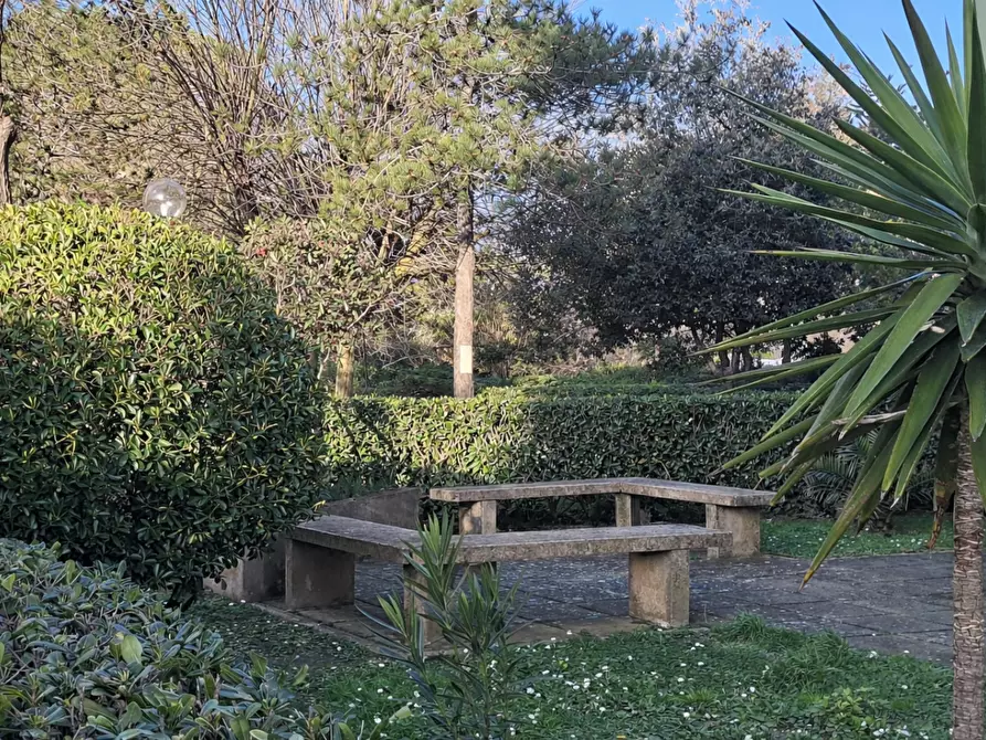 Immagine 20 di Appartamento in vendita  a Cascina