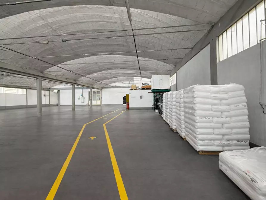 Immagine 25 di Capannone industriale in affitto  a Bientina
