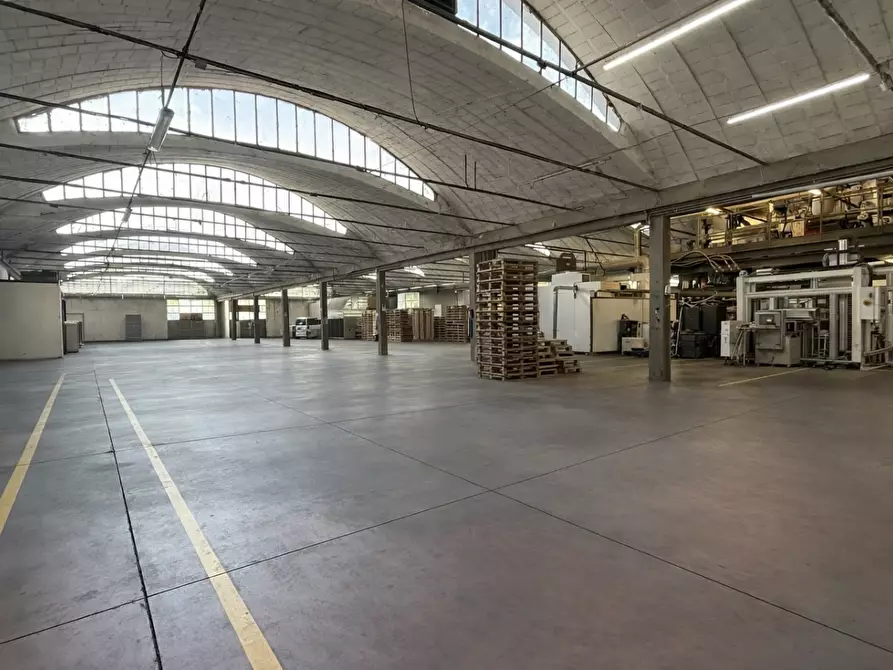 Immagine 30 di Capannone industriale in affitto  a Bientina