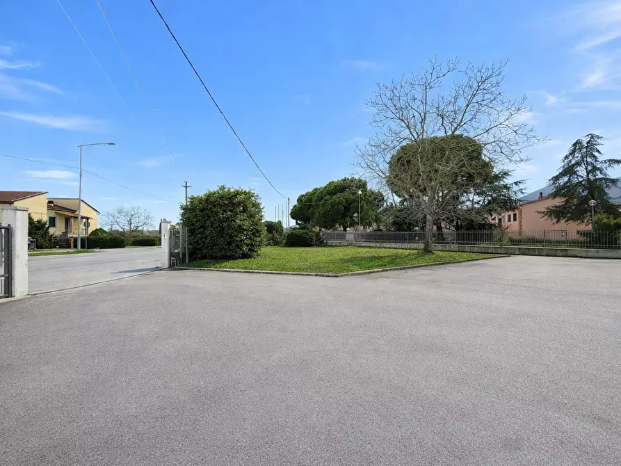 Immagine 4 di Capannone industriale in affitto  a Bientina