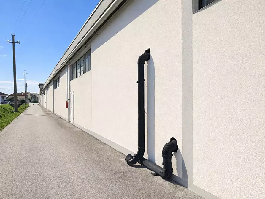 Immagine 5 di Capannone industriale in affitto  a Bientina