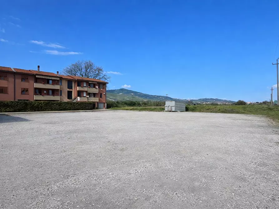 Immagine 9 di Capannone industriale in affitto  a Bientina