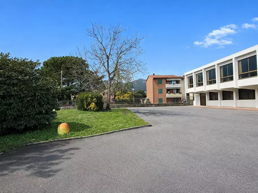 Immagine 3 di Capannone industriale in affitto  a Bientina