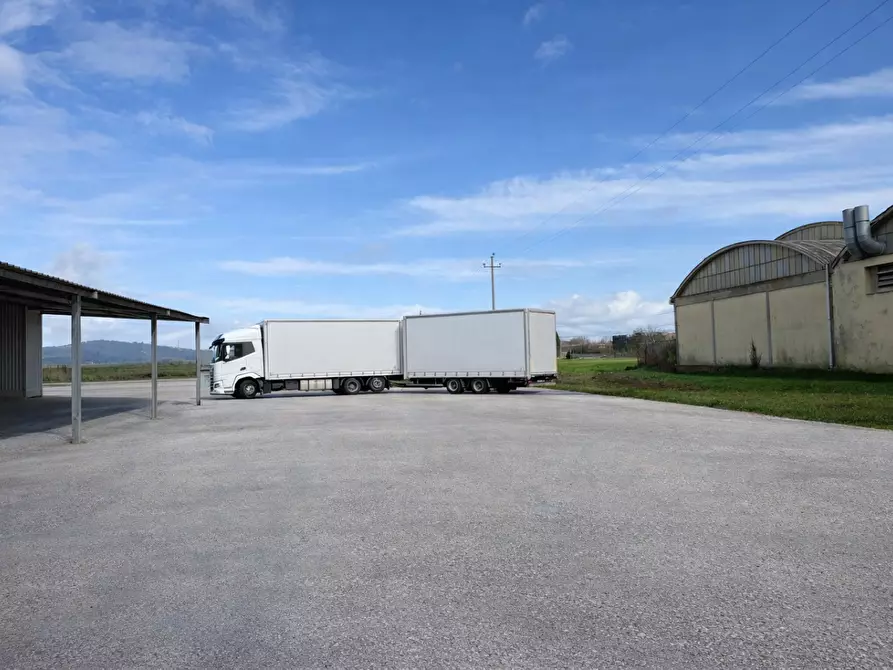 Immagine 8 di Capannone industriale in affitto  a Bientina