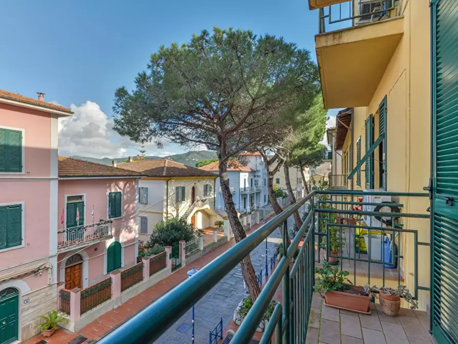 Immagine 24 di Appartamento in vendita  a Campo Nell'elba