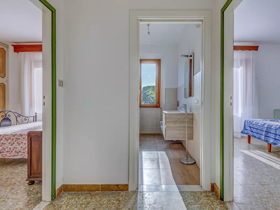 Immagine 14 di Appartamento in vendita  a Campo Nell'elba