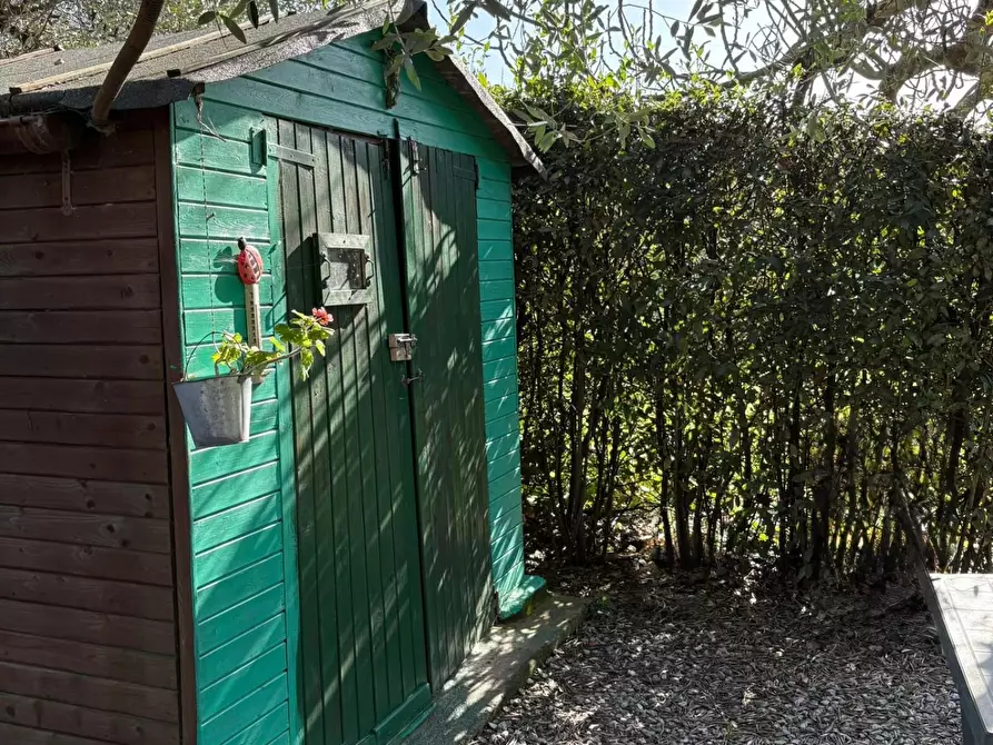 Immagine 1 di Terreno agricolo in vendita  a Campiglia Marittima