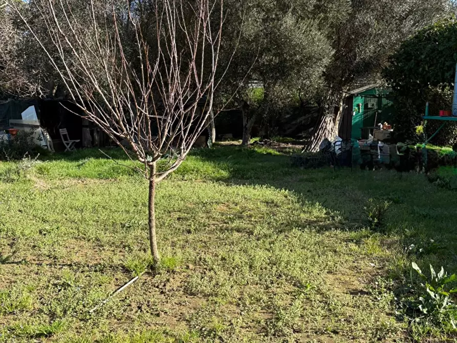 Immagine 6 di Terreno agricolo in vendita  a Campiglia Marittima