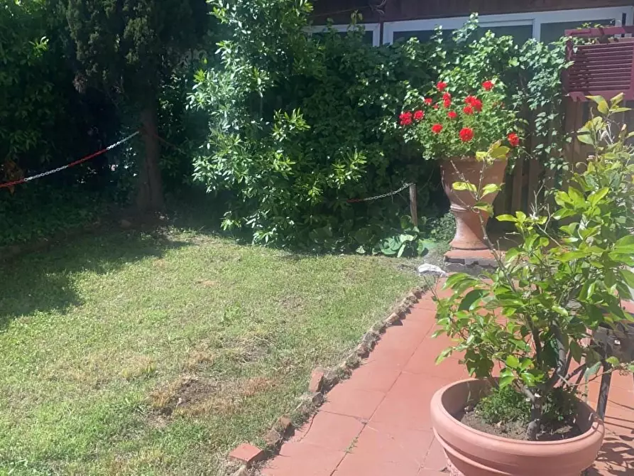 Immagine 2 di Casa colonica in vendita  a Collesalvetti