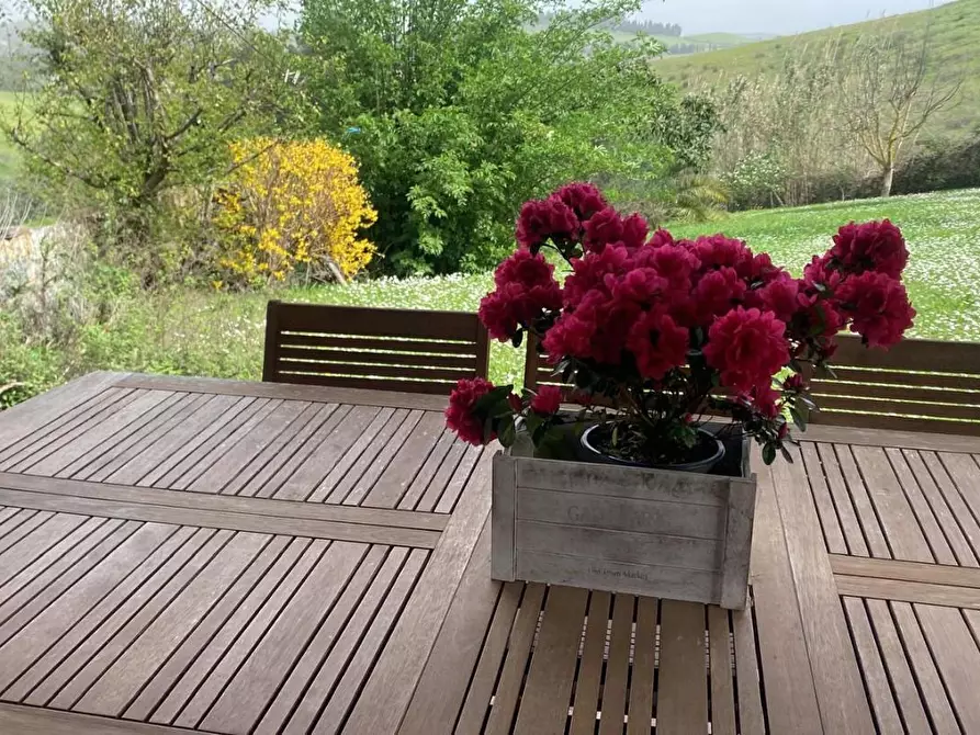 Immagine 1 di Casa colonica in vendita  a Collesalvetti